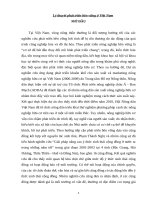 Tieu Luan CTHPT - Lý thuyết phát triển bền vững ở Việt Nam