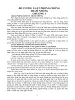 Đề cương luật phòng chống tham nhũng