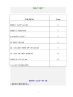 SKKN hướng dẫn học sinh thực hành  giải toán trên mạng internet