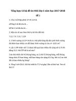 Tổng hợp 13 bộ đề ôn HSG lớp 5 năm học 2017 2018 của trường tiểu học ngô gia tự, sơn trà, đà nẵng 