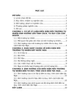 Ảnh hưởng của một số điều kiện môi trường tự nhiên đến tư duy, tính cách dân tộc nga  tiểu luận cao học