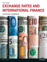 Exchange rates and international finance 6e by copeland 