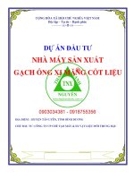 Dự án Nhà máy sản xuất gạch ống cốt liệu xi măng 0903034381