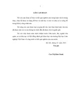 Giải pháp phát triển nông nghiệp theo hướng bền vững trên địa bàn huyện Cẩm Khê tỉnh Phú Thọ