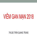 VIEM GAN MAN y5 2018 