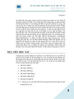 CÁC mô HÌNH ARCH GARCH và dự báo rủi RO