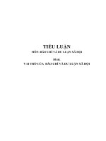 Tiểu luận dư luận xã hội  VAI TRÒ của  báo CHÍ và dư LUẬN xã hội(chuẩn) tiểu luận cao học