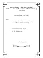 báo cáo thực tập tốt nghiệp   ảnh hưởng của nhiệt độ môi trường lên tăng trọng của heo thịt