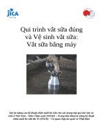 Qui trình vắt sữa đúng và Vệ sinh vắt sữa: Vắt sữa bằng máy