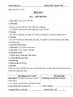 Giáo án cả năm địa lý lớp 6