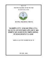 Nghiên cứu ảnh hưởng của glycyl funtumin lên mức độ phiên mã survivin trên dòng tế bào BT474 và a549 