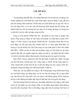 Báo cáo thực tập: Phương hướng và giải pháp nhằm phát triển hoạt động sản xuất kinh doanh của công ty công ty Hải Hà  Kotobuki