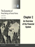The economics of money, banking, and financial institutions (11th edition) by f s  mishkin ch2 an overview of the financial system 
