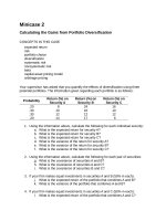 Minicase 02 calculating the gains from portfolio diversification 