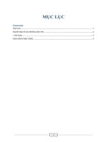 Kịch bản phân cảnh chi tiết  người họa sĩ của những giấc mơ