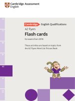 YLE flyers 2018 flashcards 