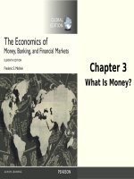 The economics of money, banking, and financial institutions (11th edition) by f s  mishkin ch3 