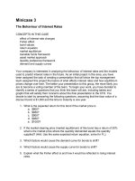 Minicase 03 the behaviour of interest rates 