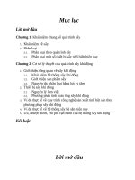 Kỹ thuật sấy và chưng cất (Sấy khí động)