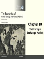 The economics of money, banking, and financial institutions (11th edition) by f s  mishkin ch18 the foreign exchange market