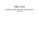TL  lý thuyết truyền thông  mô HÌNH tổ CHỨC HOẠT ĐỘNG TRUYỀN THÔNG của CNN