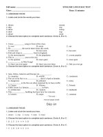 E6 language focus unit 10 so 3