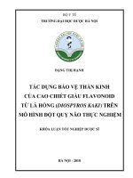 Tác dụng bảo vệ thần kinh của cao chiết giàu flavonoid từ lá hồng (diospyros kaki) trên mô hình đột quỵ não thực nghiệm 