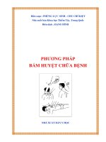 Phương pháp bấm huyệt chữa bệnh_Phùng Lực Sinh, Chu Chí Kiệt