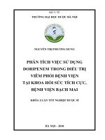 Phân tích việc sử dụng doripenem trong điều trị viêm phổi bệnh viện tại khoa hồi sức tích cực, bệnh viện bạch mai 