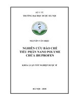 Nghiên cứu bào chế tiểu phân nano polyme chứa ibuprofen 