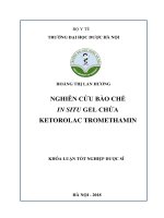 Nghiên cứu bào chế in situ gel chứa ketorolac tromethamin 