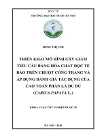 Triển khai mô hình gây giảm tiểu cầu bằng hóa chất độc tế bào trên chuột cống trắng và áp dụng đánh giá tác dụng của cao toàn phần lá đu đủ (carica papaya l ) 