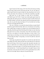 Công tác xã hội đối với người khuyết tật ở việt nam hiện nay  tiểu luận cao học