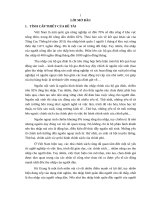 nghiên cứu về thu nhập hộ gia đình nông dân tại hà giang 