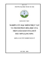 Nghiên cứu đặc điểm thực vật và thành phần hóa học của một loài giảo cổ lam ở bắc sơn (lạng sơn) 
