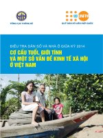 ĐIỀU TRA DÂN SỐ VÀ NHÀ Ở GIỮA KỲ 2014 CƠ CẤU TUỔI, GIỚI TÍNH VÀ MỘT SỐ VẤN ĐỀ KINH TẾ XÃ HỘI Ở VIỆT NAM