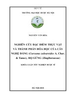 Nghiên cứu đặc điểm thực vật và thành phần hóa học của cây nghệ đắng (curcuma zedoaroides a  chav   tanee), họ gừng (zingiberaceae) 