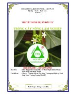 Thuyết minh dự án trồng cây lâm nghiệp tỉnh Bình Thuận 0903034381