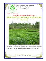 Thuyết minh Dự án trồng rừng kết hợp chăn nuôi bò sữa tỉnh Bình Thuận 0903034381