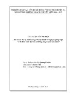 Tiểu luận xử lý tình huống xử lý hành vi vi phạm pháp luật về đê điều trên địa bàn xã đông dư, huyện gia lâm  