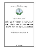Tổng quan về beta secretase và các chất ức chế beta secretase hướng điều trị bệnh alzheimer 