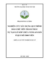 Nghiên cứu xây dựng qui trình bào chế viên thẩm thấu tự tạo lỗ xốp chứa venlafaxin ở qui mô 5000 viên 