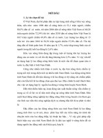 Môn chính sách xã hội và quản lý xã hội  vấn đề sử DỤNG LAO ĐỘNG NÔNG THÔN TỈNH NAM ĐỊNH HIỆN NAY