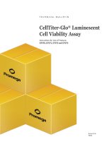 celltiter glo luminescent cell viability assay protocol