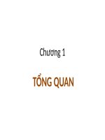 Slide bài giảng Quản trị tài chính: chương 1: Tổng quan