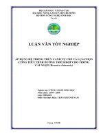 ÁP DỤNG HỆ THỐNG THỦY CANH TỰ CHẾ VÀ LỰA CHỌN CÔNG THỨC DINH DƯỠNG THÍCH HỢP CHO TRỒNG CẢI NGỌT (Brassica chinensis)