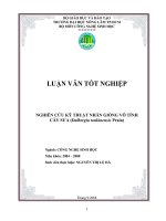 NGHIÊN CỨU KỸ THUẬT NHÂN GIỐNG VÔ TÍNH CÂY SƯA (Dalbergia tonkinensis Prain)