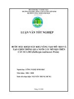 BƯỚC ĐẦU KHẢO SÁT KHẢ NĂNG TẠO MÔ SẸO VÀ TẠO CHỒI THÔNG QUA NUÔI CẤY MÔ SẸO TRÊN CÂY SƯA ĐỎ (Dalbergia tonkinensis Prain)
