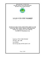 ĐÁNH GIÁ KHẢ NĂNG SINH TỔNG HỢP CÁC HỆ ENZYME THỦY PHÂN TRONG MÔI TRƯỜNG NUÔI CẤY LỎNG CỦA CÁC CHỦNG XẠ KHUẨN Streptomyces sp.