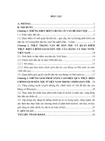 Phân tích những quan điểm cơ bản và giải pháp chủ yếu thực hiện chính sách dân tộc của đảng và nhà nước việt nam  đánh giá triển khai